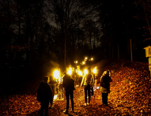 Laternenlauf und Stockbrot