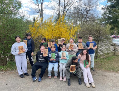 Nagelbilder mit Elektrodraht