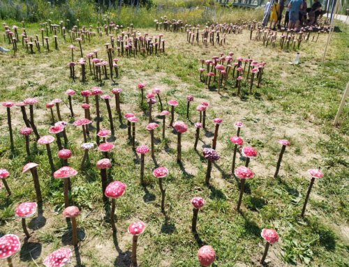 Die Pilze sind bei der Landesgartenschau